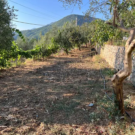 Titos Countryside